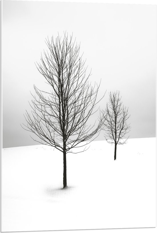 WallClassics - Acrylglas - Twee Kale Bomen in Sneeuwlandschap - 60x90 cm Foto op Acrylglas (Met Ophangsysteem)
