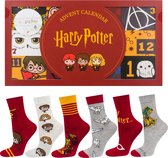 Adventskalender Harry Potter sokken maat 35-40