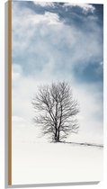 WallClassics - Hout - Kale Eenzame Boom in Sneeuwlandschap - 50x100 cm - 12 mm dik - Foto op Hout (Met Ophangsysteem)