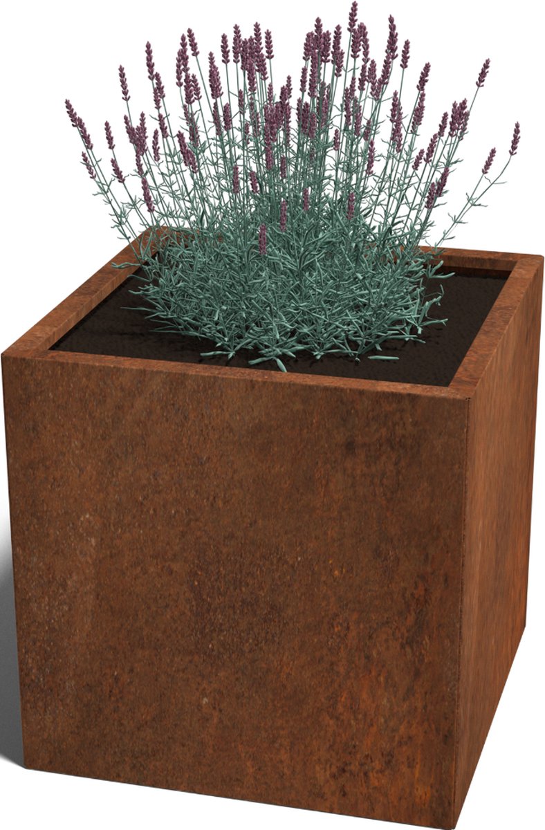 Cortenstaal plantenbak - Vierkant - 70x70x70cm - Roestkleur - Zonder bodem - MySteel