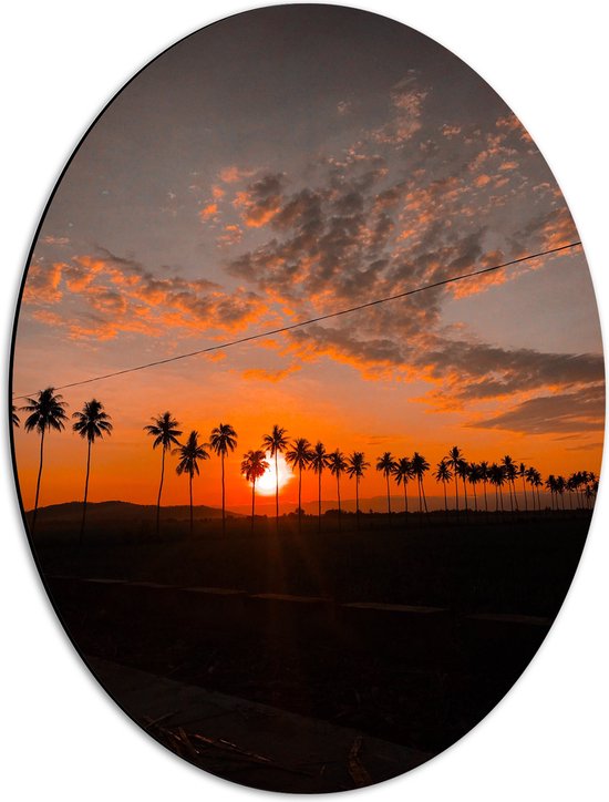 WallClassics - Dibond Ovaal - Zonsondergang door Palmbomen langs de Weg - 42x56 cm Foto op Ovaal (Met Ophangsysteem)