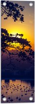 WallClassics - Tuinposter – Zon achter Takken - 20x60 cm Foto op Tuinposter  (wanddecoratie voor buiten en binnen)