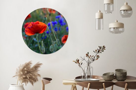 WallCircle - Stickers muraux - Cercle de papier peint - Coquelicots colorés aux Pays- Nederland - 100x100 cm - Cercle mural - Auto-adhésif - Sticker papier peint rond XXL