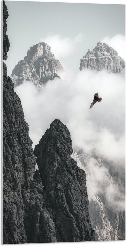 WallClassics - Acrylglas - Vogel Vliegend tussen Bergen (zwart/wit) - 50x100 cm Foto op Acrylglas (Met Ophangsysteem)