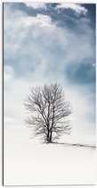 WallClassics - Dibond - Kale Eenzame Boom in Sneeuwlandschap - 50x100 cm Foto op Aluminium (Wanddecoratie van metaal)