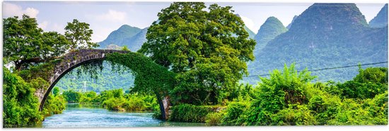 WallClassics - Drapeau - Pont envahi sur la rivière dans un paysage de montagne - Photo 60x20 cm sur drapeau en polyester