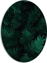WallClassics - PVC Schuimplaat Ovaal - Groep Groene Bladeren  - 30x40 cm Foto op Ovaal  (Met Ophangsysteem)