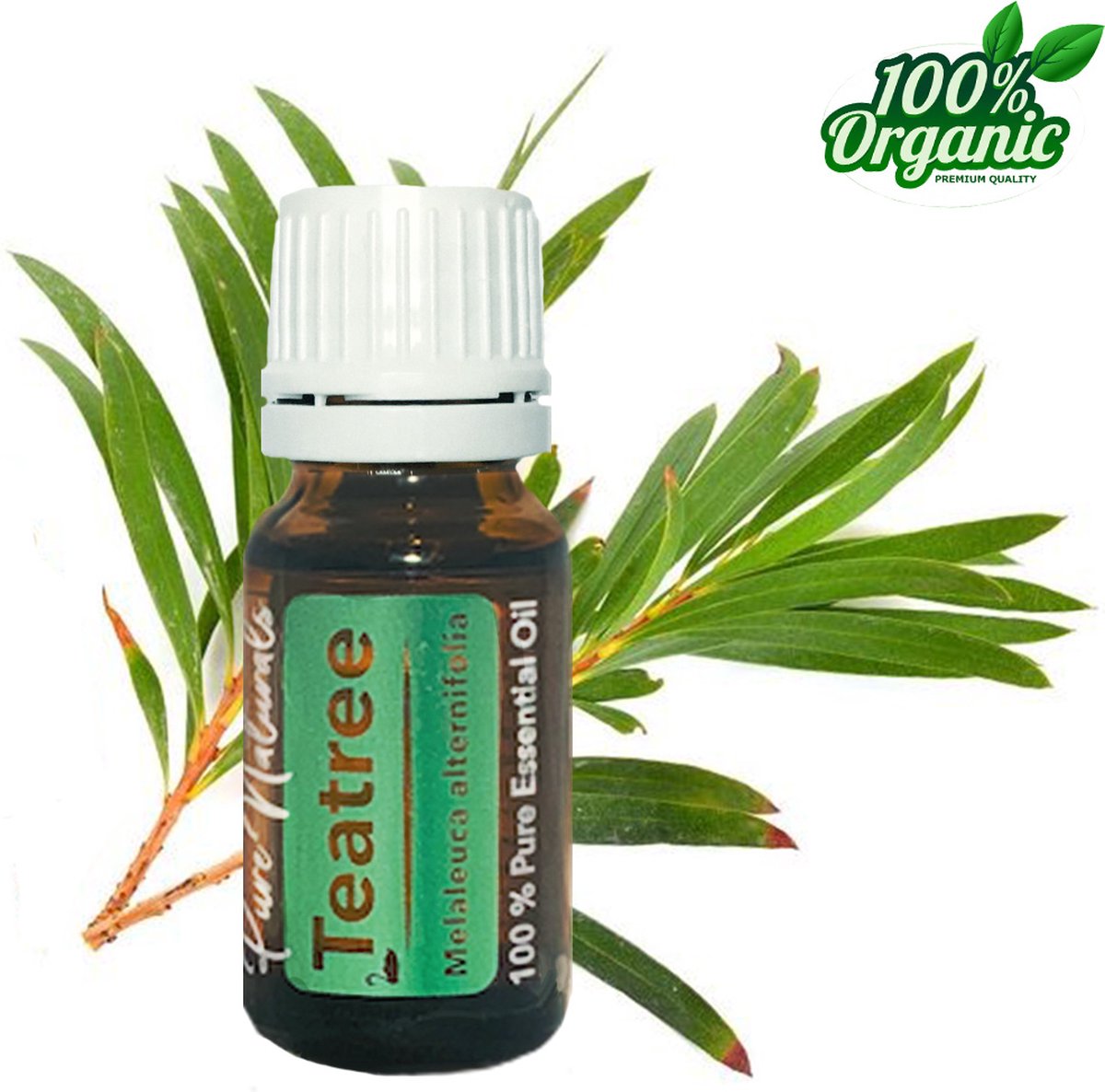 Goedkoopste Healing - Tea-Tree 10 ml - etherische olie