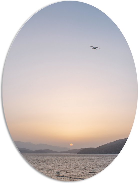 WallClassics - PVC Schuimplaat Ovaal - Vogel boven de Zee met Bergen bij Maan - 72x96 cm Foto op Ovaal  (Met Ophangsysteem)