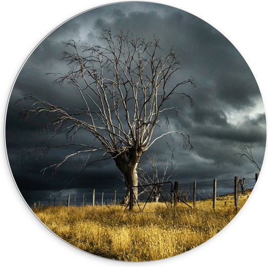 WallClassics - PVC Schuimplaat Muurcirkel - Onweer op Komst boven Weiland - 70x70 cm Foto op Muurcirkel (met ophangsysteem)