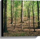 WallClassics - Toile - Beau temps en forêt - 40x40 cm - Photo sur toile (Décoration murale )