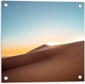 WallClassics - Tuinposter – Hoge Duinen in de Woestijn - 50x50 cm Foto op Tuinposter  (wanddecoratie voor buiten en binnen)