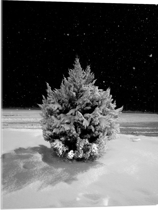WallClassics - Acrylglas - Wit Besneeuwde Kerstboom in het Donker - 60x80 cm Foto op Acrylglas (Wanddecoratie op Acrylaat)