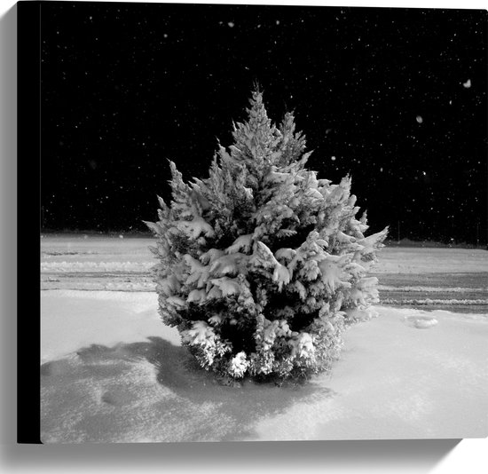 WallClassics - Canvas  - Wit Besneeuwde Kerstboom in het Donker - 40x40 cm Foto op Canvas Schilderij (Wanddecoratie op Canvas)