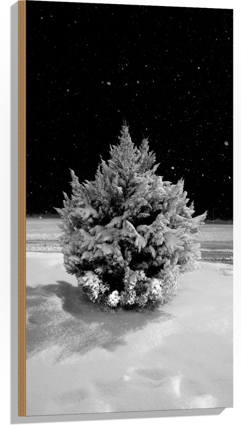 WallClassics - Hout - Wit Besneeuwde Kerstboom in het Donker - 50x100 cm - 12 mm dik - Foto op Hout (Met Ophangsysteem)