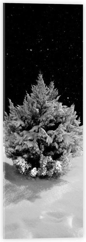 WallClassics - Acrylglas - Wit Besneeuwde Kerstboom in het Donker - 20x60 cm Foto op Acrylglas (Met Ophangsysteem)