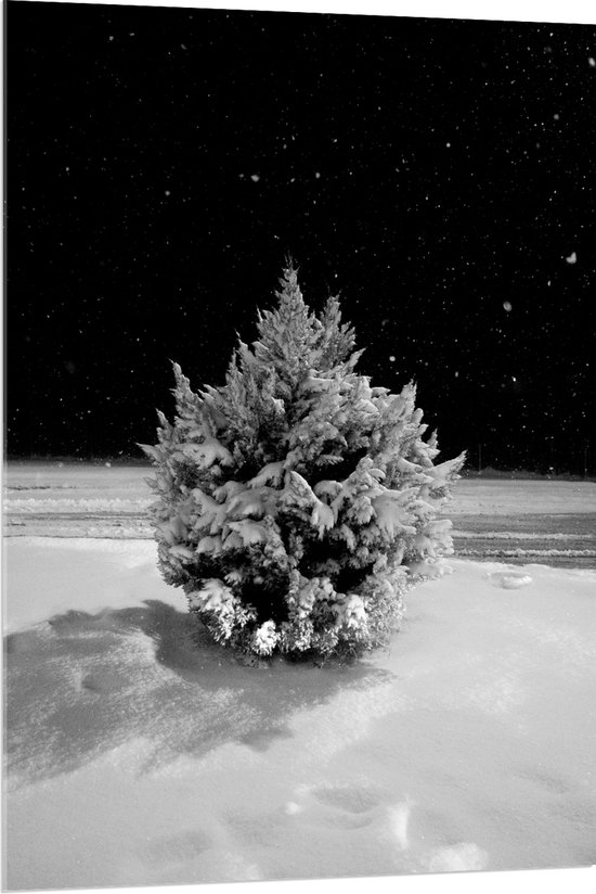 WallClassics - Acrylglas - Wit Besneeuwde Kerstboom in het Donker - 80x120 cm Foto op Acrylglas (Met Ophangsysteem)