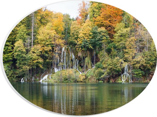 WallClassics - PVC Schuimplaat Ovaal - Kleine Watervallen tussen Bomen door - 28x21 cm Foto op Ovaal  (Met Ophangsysteem)