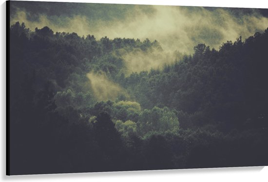 WallClassics - Canvas  - Mist boven Boomtoppen - 150x100 cm Foto op Canvas Schilderij (Wanddecoratie op Canvas)