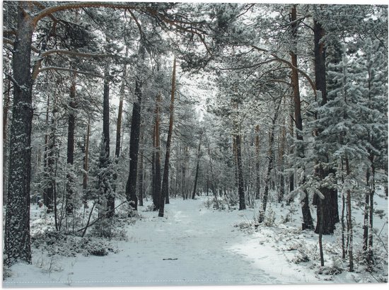 WallClassics - Drapeau - Forêt d'hiver - 40x30 cm Photo sur Drapeau Polyester