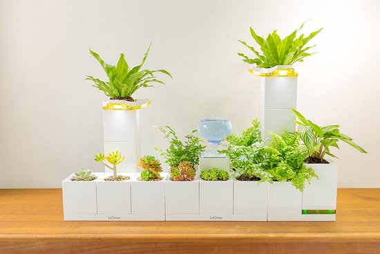 Luchtbevochtigers: van gratis tot ultrasoon - Welke is het beste voor jou? 5 LeGrow TG-House - Plantenpot met luchtbevochtiger - Smart Garden - Oplaadstation - SET