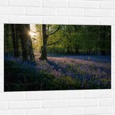WallClassics - Muursticker - Zonnetje Schijnend op Lavendel  - 90x60 cm Foto op Muursticker