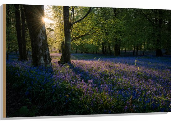 WallClassics - Hout - Zonnetje Schijnend op Lavendel  - 120x80 cm - 12 mm dik - Foto op Hout (Met Ophangsysteem)