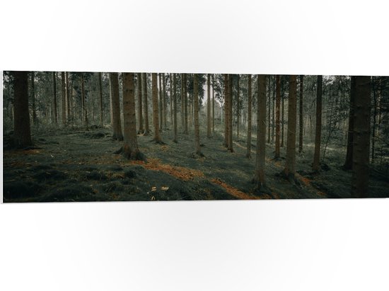 WallClassics - PVC Schuimplaat - Heuvel Bos - 120x40 cm Foto op PVC Schuimplaat (Met Ophangsysteem)