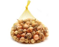 Pootui Geel – Plantuien om Zelf Uien te Kweken – Geschikt voor Moestuin – 500 Gram