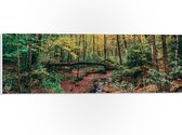 WallClassics - Panneau en mousse PVC - Arbres tombés sur la rivière - Photo 60x20 cm sur panneau en mousse PVC (avec système de suspension)
