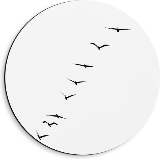 WallClassics - Dibond Muurcirkel - Schuine Lijn van Zwarrte Vogels op Witte Achtergrond - 40x40 cm Foto op Aluminium Muurcirkel (met ophangsysteem)
