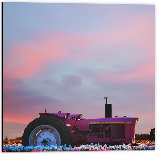 WallClassics - Dibond - Roze Traktor in Felkleurend Bloemenveld - 50x50 cm Foto op Aluminium (Met Ophangsysteem)