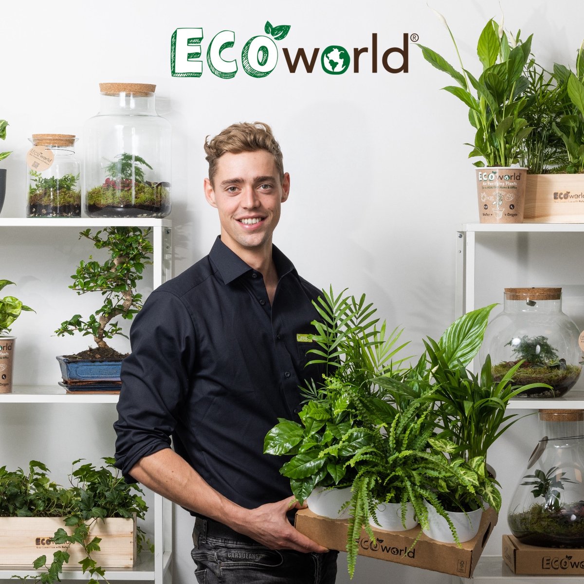 Plantes d'intérieur avec pot - Ecoworld Houseplant Set White - 6 pieces 