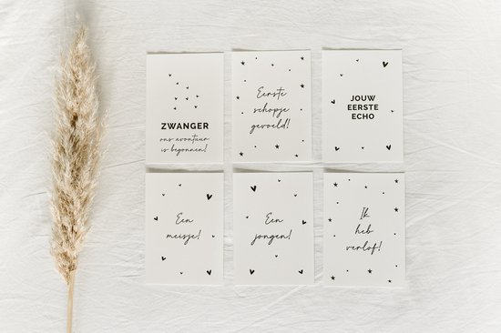 20x hippe mijlpaalkaartjes zwangerschap (A6 formaat) - milestone pregant cards - cadeau zwangerschap - kado zwangerschap - babyshower cadeau - hoera zwanger - zwangerschapsverlof - kraamcadeaus - mijlpaalkaarten zwangerschap