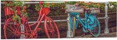 WallClassics - Vlag - Rood/Blauwe Fietsen met Bloemen Gevuld - 120x40 cm Foto op Polyester Vlag