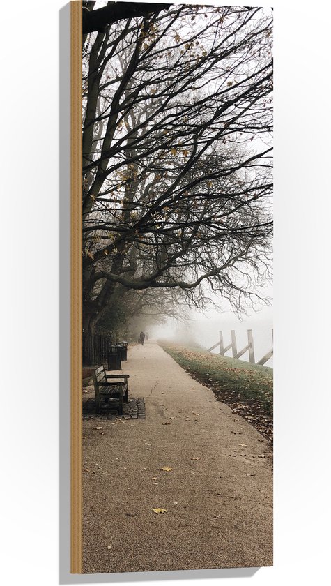 WallClassics - Hout - Bankje op de Dijk in de Mist - 30x90 cm - 12 mm dik - Foto op Hout (Met Ophangsysteem)