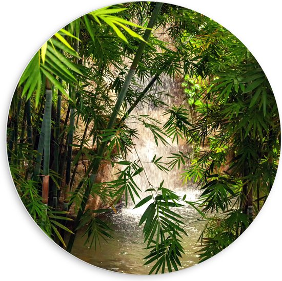 WallClassics - Cercle mural en panneau de mousse PVC - Bamboe à cascade - 60x60 cm Photo sur cercle mural (avec système de suspension)