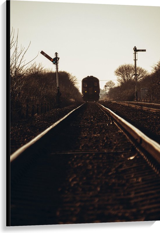 Canvas - Aankomende Trein op Rails - 80x120 cm Foto op Canvas Schilderij (Wanddecoratie op Canvas)