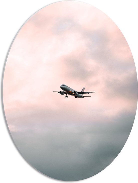 WallClassics - PVC Schuimplaat Ovaal - Vliegtuig bij Bewolking - 42x56 cm Foto op Ovaal  (Met Ophangsysteem)