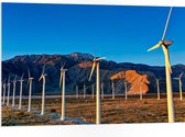 WallClassics - PVC Schuimplaat- Rij Windmolens bij Bergen - 105x70 cm Foto op PVC Schuimplaat