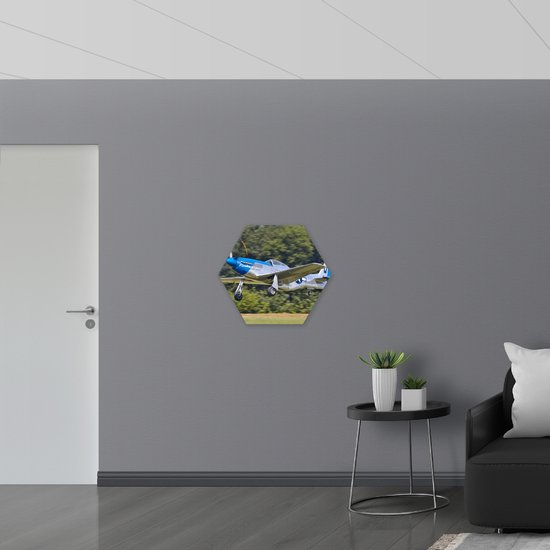Dibond Hexagon - Blauw/Grijs Vliegtuigje Landend in Gras - 70x60.9 cm Foto op Hexagon (Met Ophangsysteem)