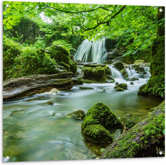 WallClassics - Tuinposter – Groen Natuur Gebied met Waterval - 100x100 cm Foto op Tuinposter  (wanddecoratie voor buiten en binnen)