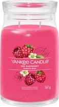 Yankee Candle - Peppermint Pinwheels Signature Large Jar