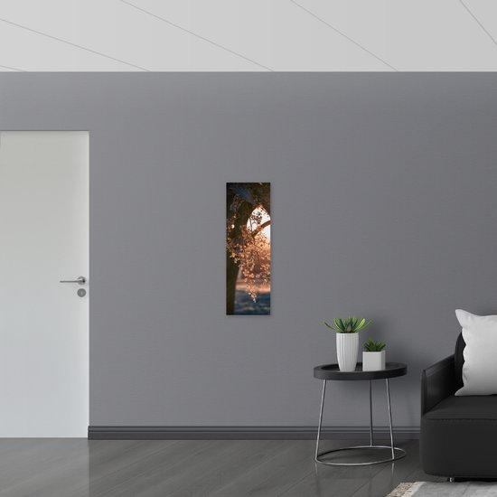 WallClassics - Poster Glossy - Solar Arays on Blossom Twig - 30x90 cm Photo sur Papier Poster avec Finition Brillante