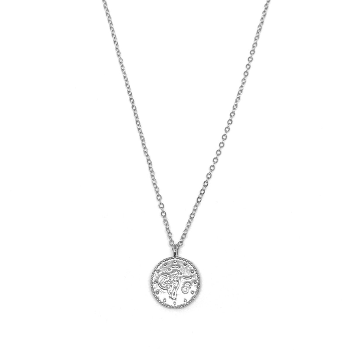 DQ coin necklace - silver