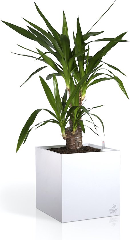 MELTOM Bloembak, rond, hoogglans, slim bloempot, plantenpot met uitneembare binnenpot, wit, L XL