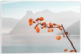 WallClassics - Feuille de Mousse PVC - Feuilles d' Oranje sur Branche pour Montagnes - 60x40 cm Photo sur Feuille de Mousse PVC