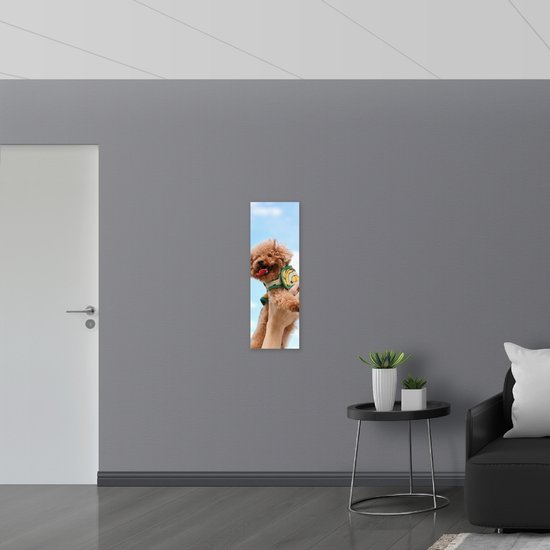 WallClassics - Dibond - Klein chien mignon avec la langue tirée - Photo sur aluminium 30 x 90 cm (avec système de suspension)