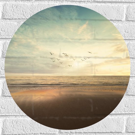WallClassics - Muursticker Cirkel - Vogels vliegend over de Zee en het Strand - 50x50 cm Foto op Muursticker