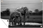 Muurdecoratie Twee olifanten bij zonsondergang - zwart wit - 180x120 cm - Tuinposter - Tuindoek - Buitenposter
